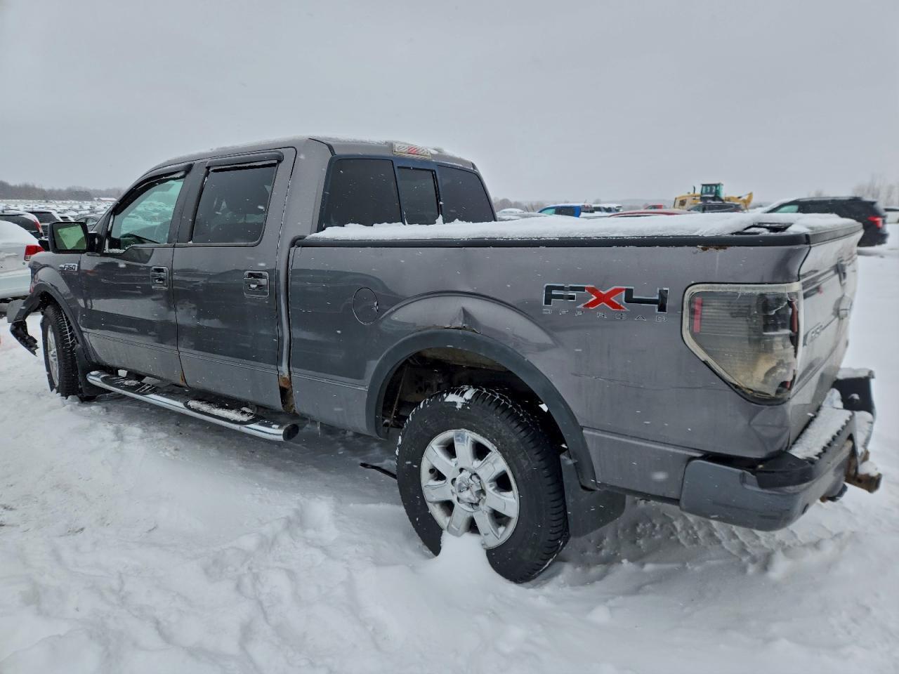 2010 Ford F150 Supercrew - Фото 2