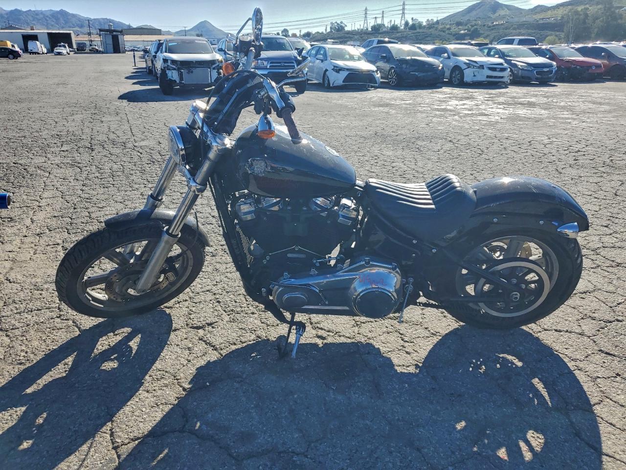 2024 Harley-Davidson Fxst - Фото 3