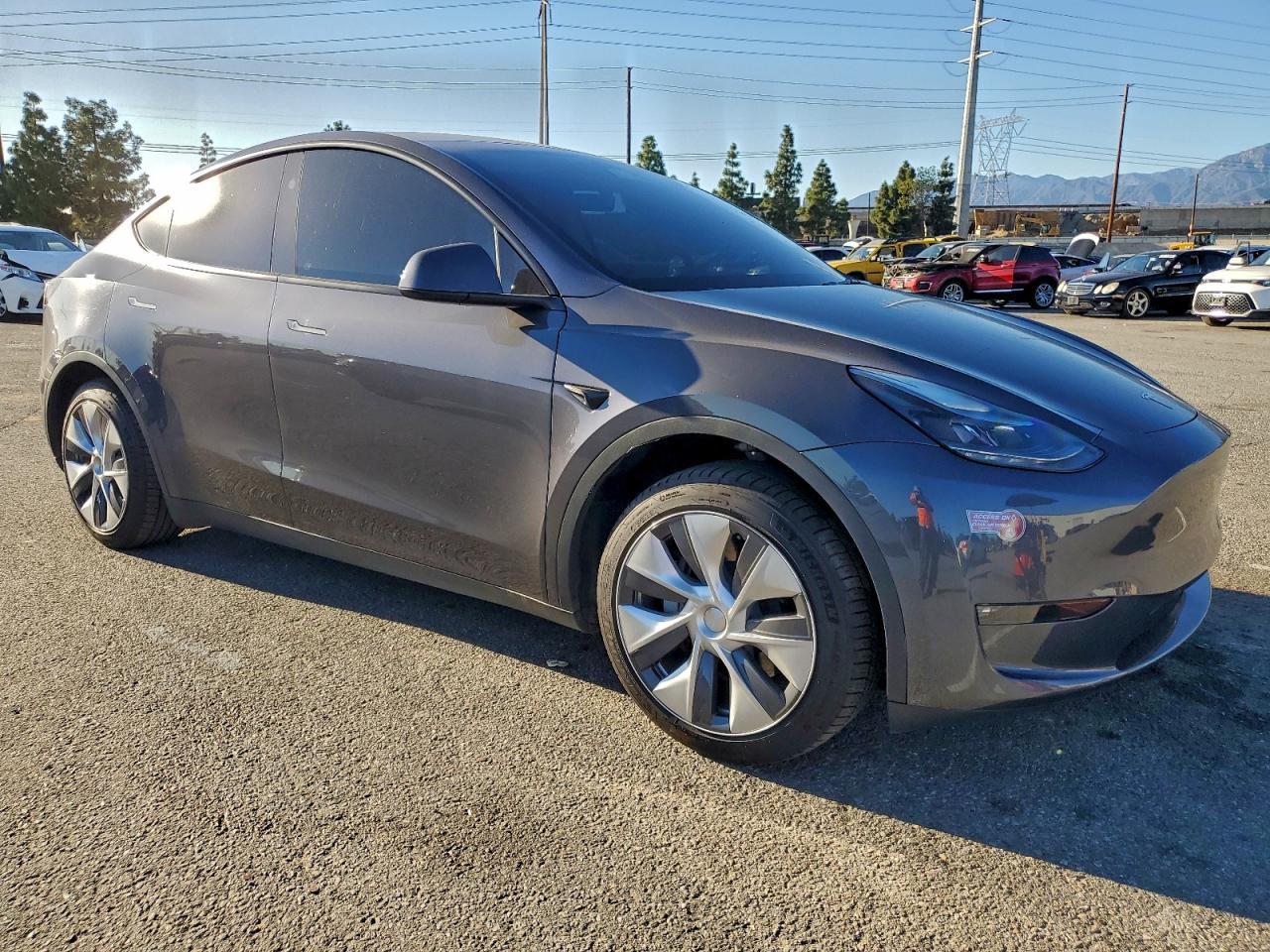 2023 Tesla Model Y - Фото 4