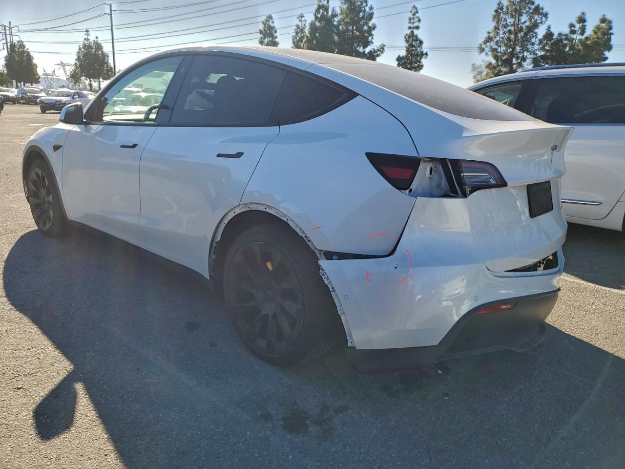 2021 Tesla Model Y - Фото 2