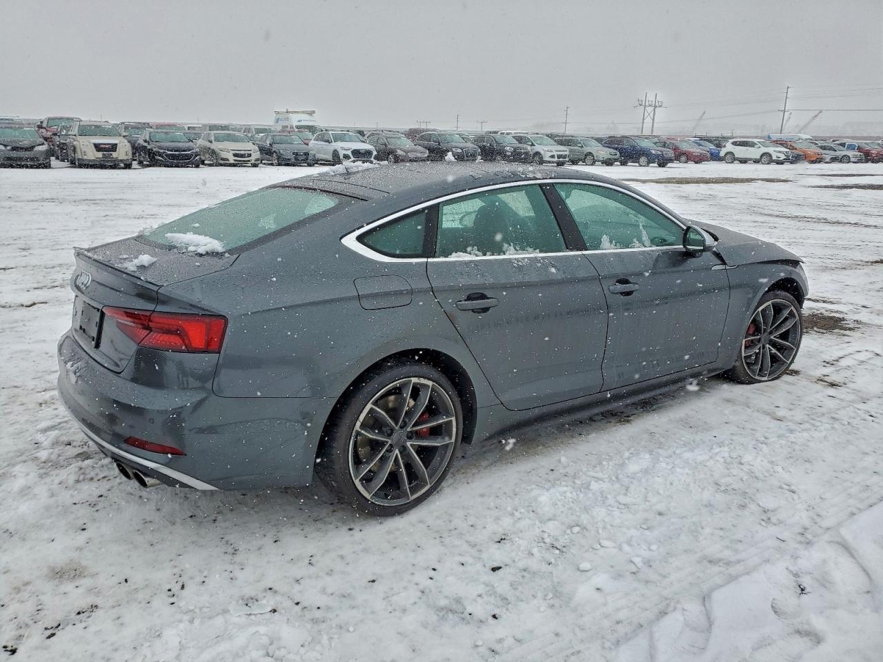 2018 Audi S5 Prestige - Фото 3