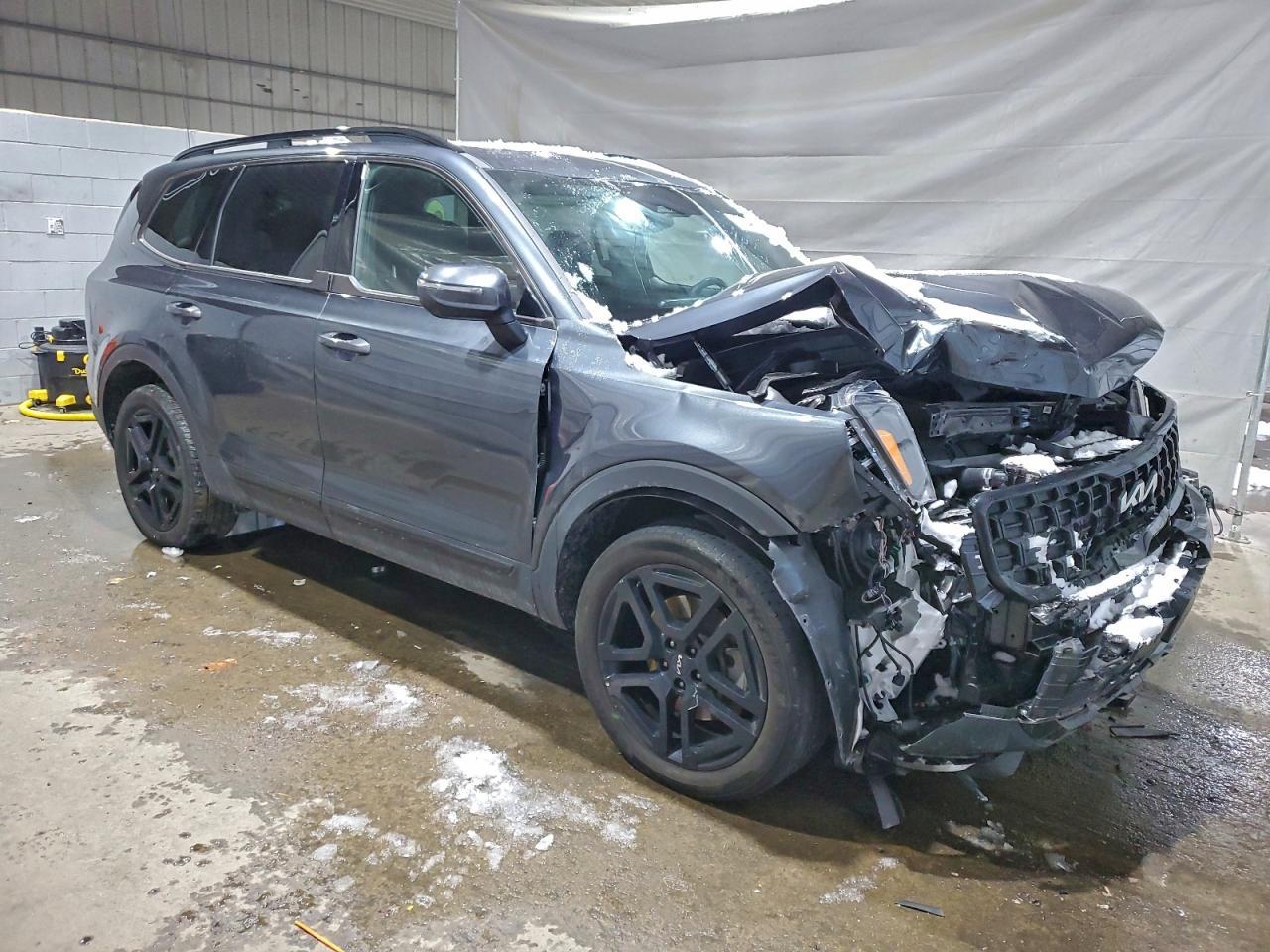 2024 Kia Telluride Ex X-Line - Фото 4