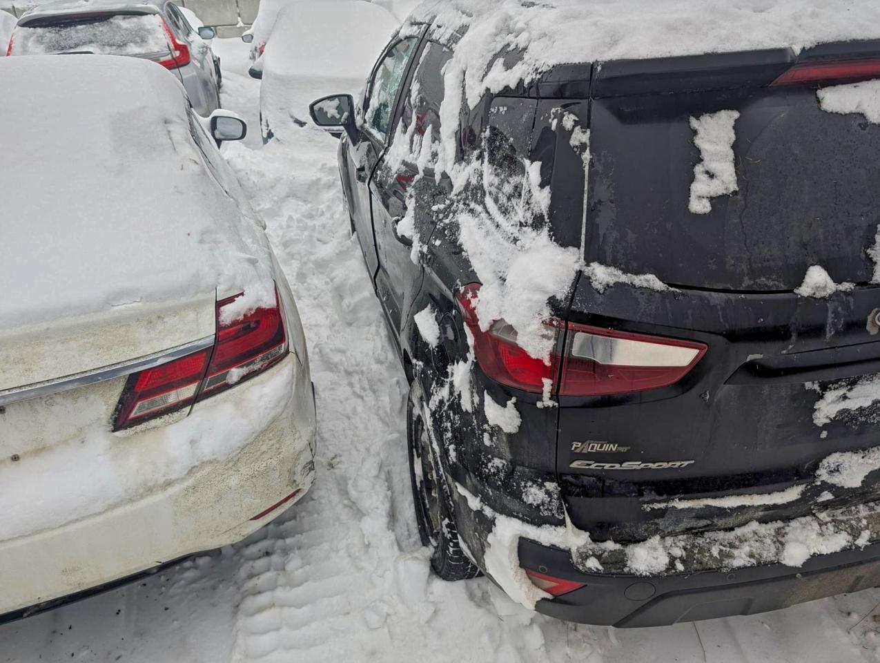 2019 Ford Ecosport Ses - Image 2