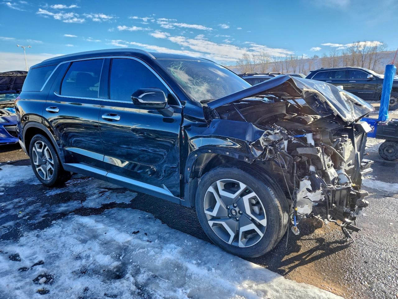 2024 Hyundai Palisade Limited - Фото 4