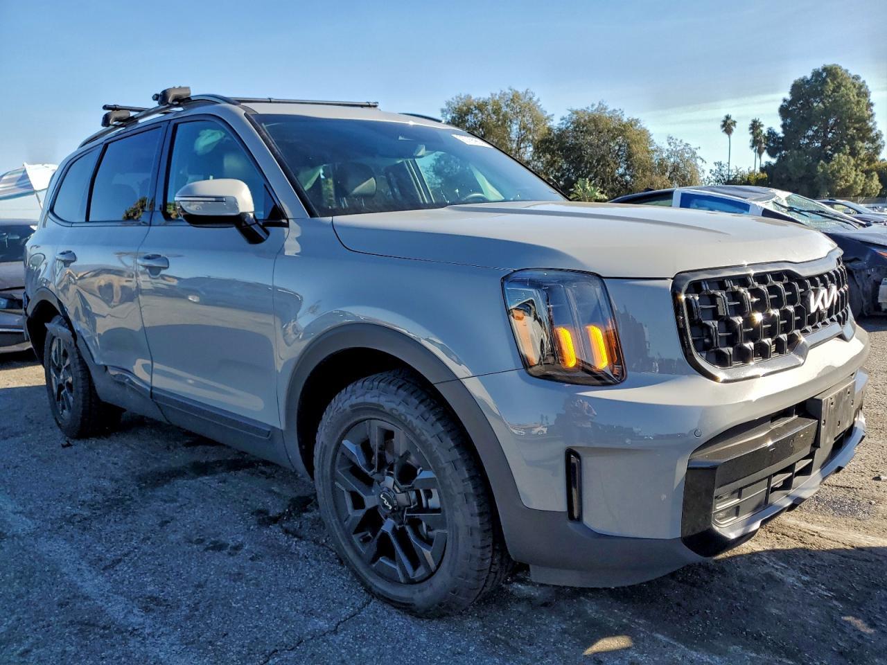 2024 Kia Telluride Sx - Фото 4