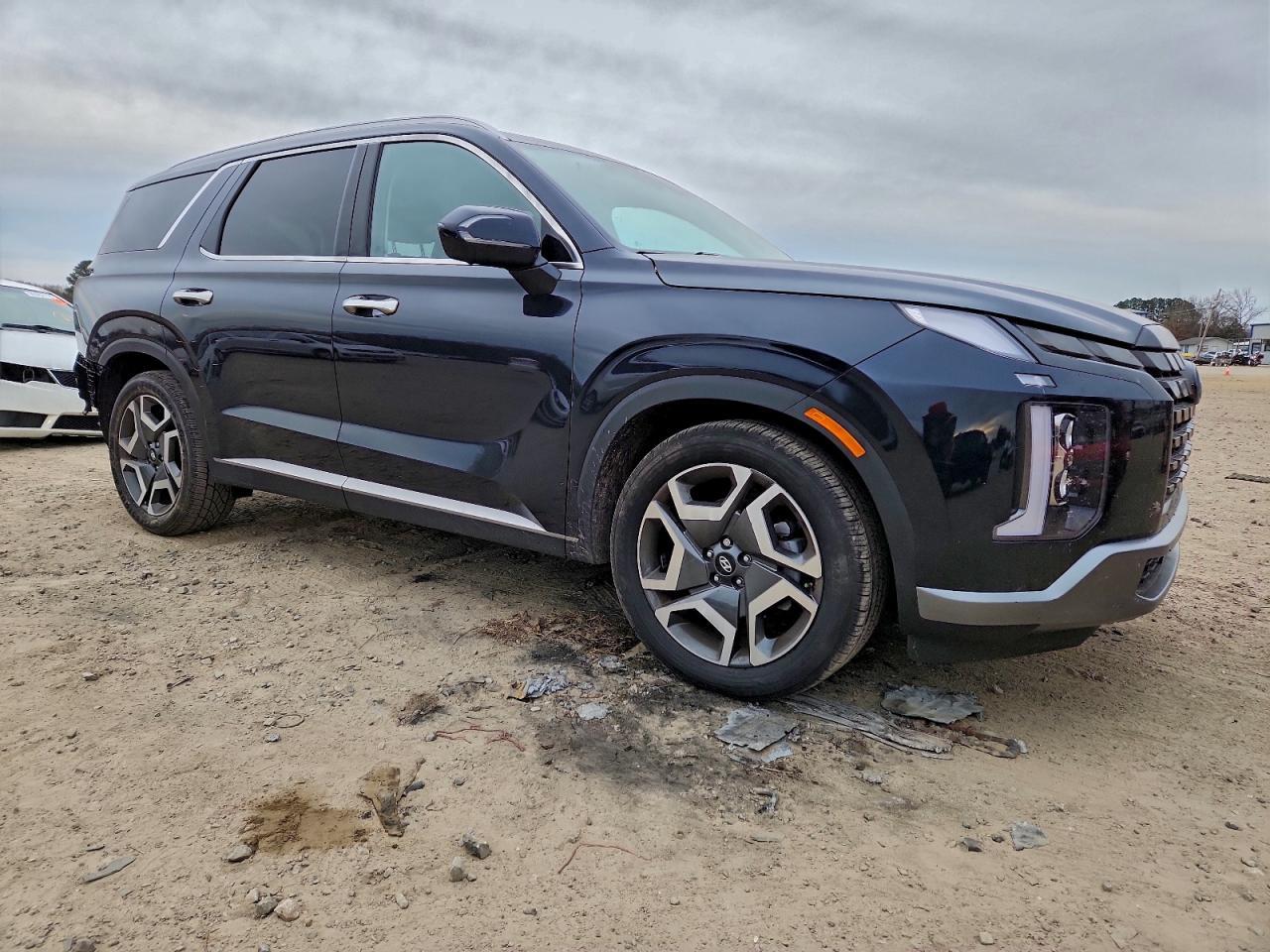 2024 Hyundai Palisade Sel Premium - Фото 4