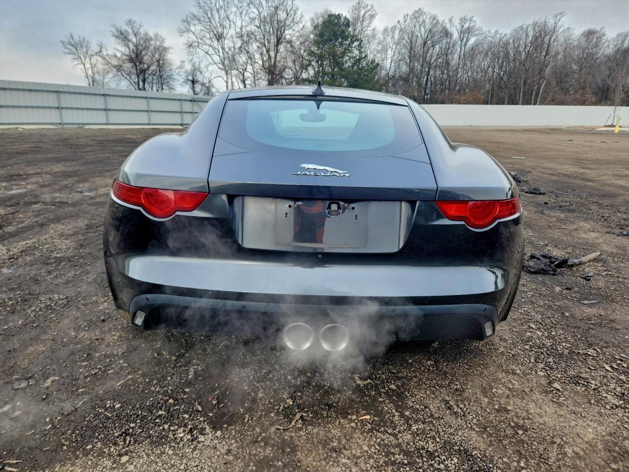 2015 Jaguar F-Type - Фото 6