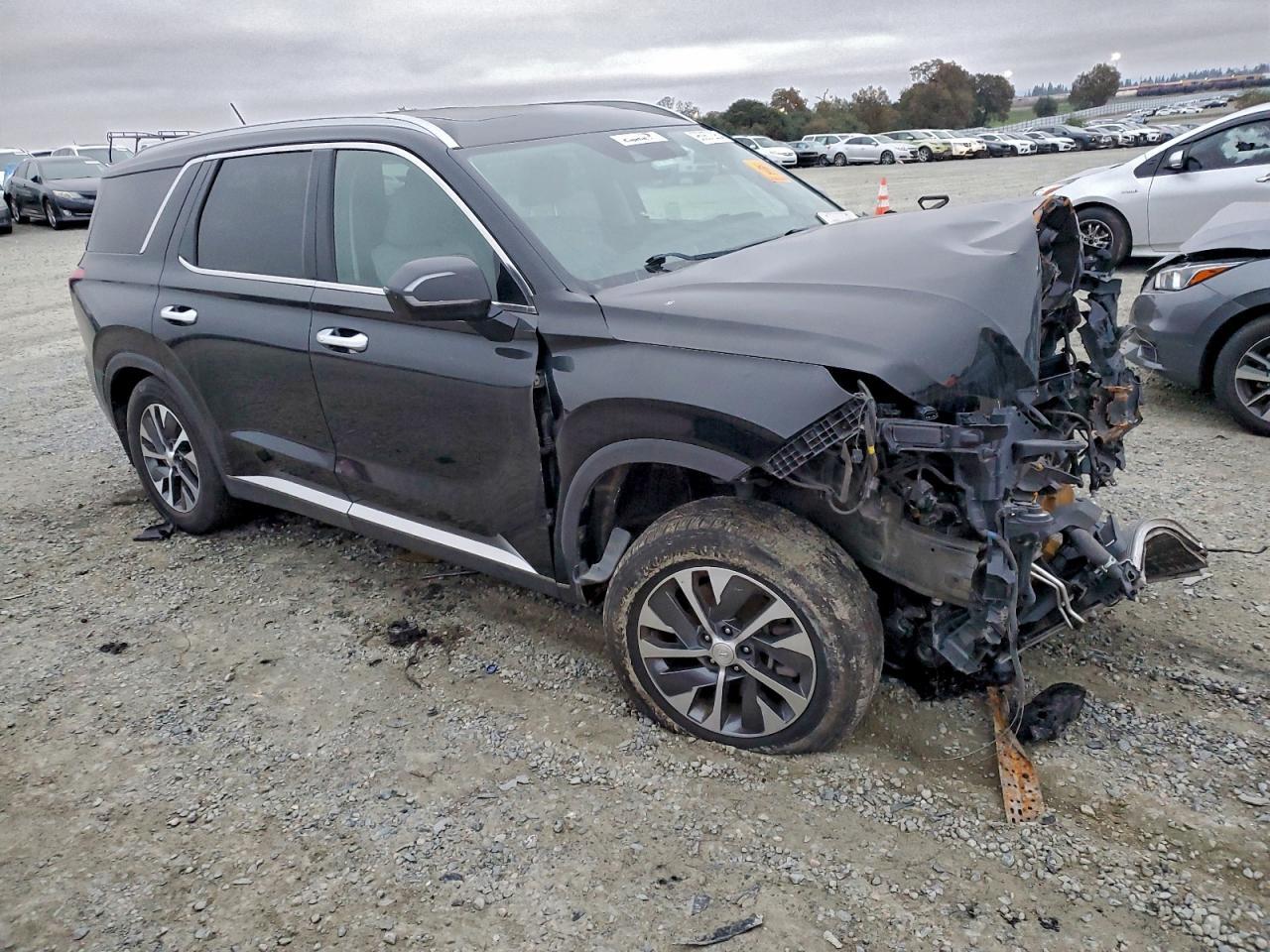 2020 Hyundai Palisade Sel - Фото 4