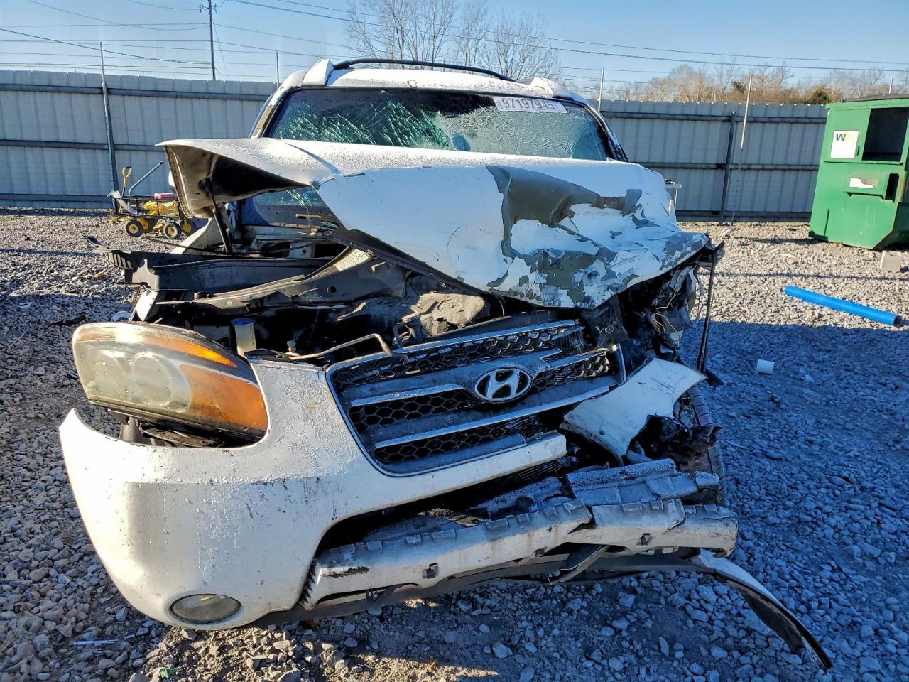 2007 Hyundai Santa Fe Se - Image 5