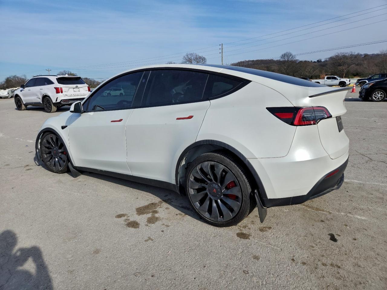 2023 Tesla Model Y - Фото 2