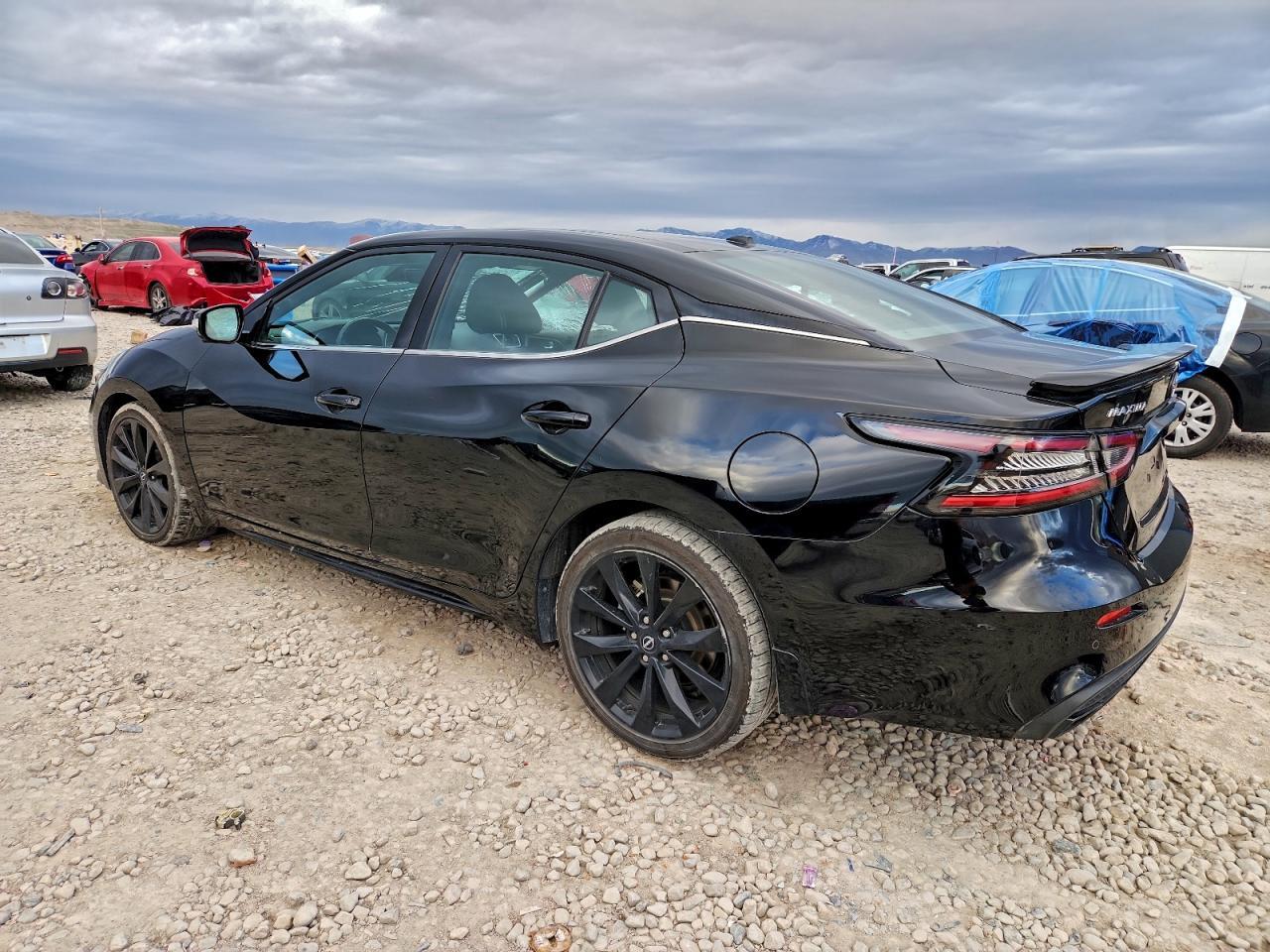 2023 Nissan Maxima Sr - Фото 2