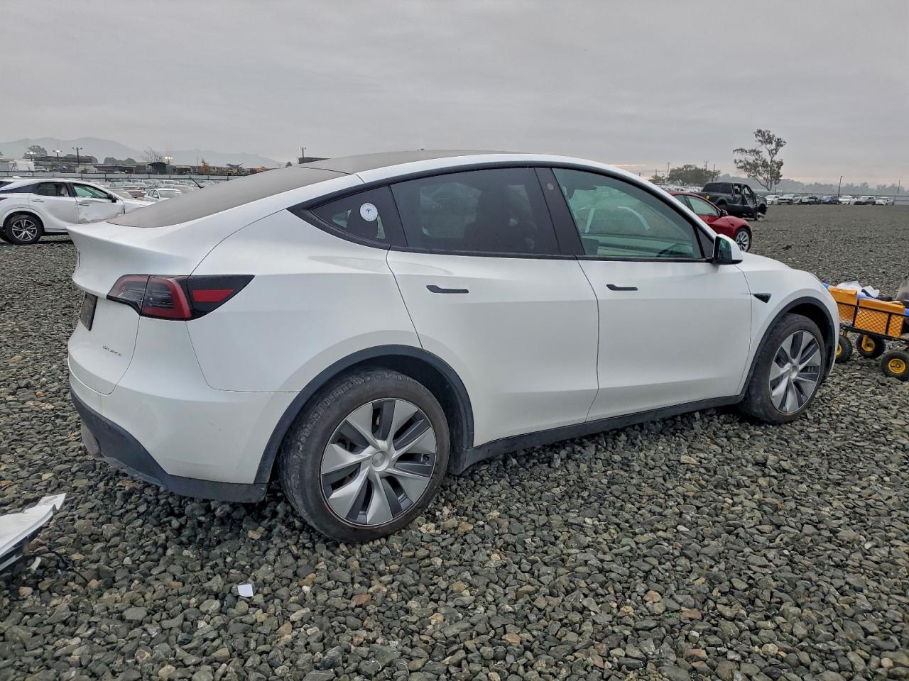 2023 Tesla Model Y - Фото 3