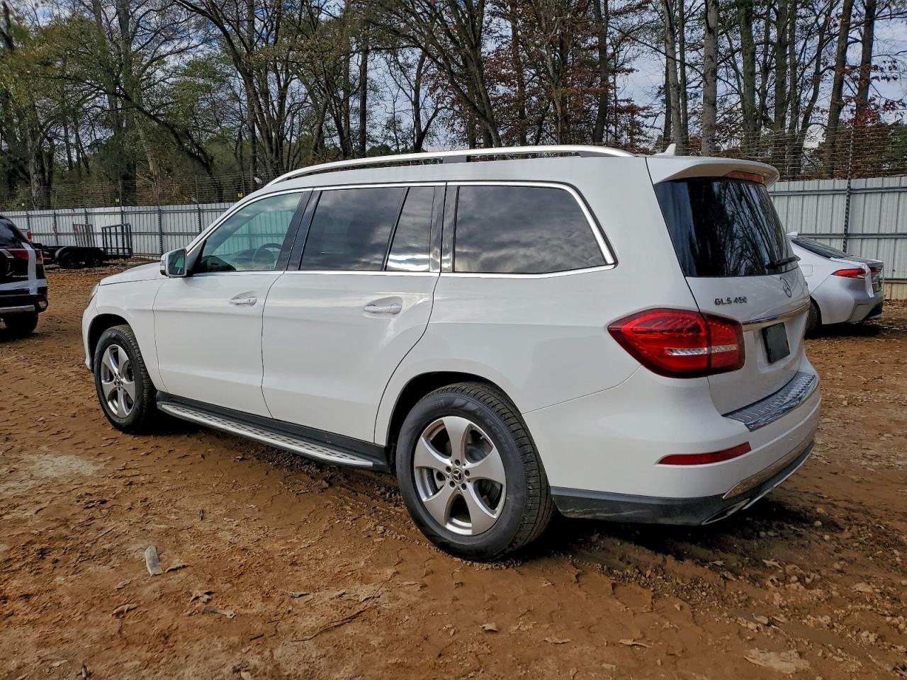 2019 Mercedes-Benz Gls 450 4Matic - Фото 2