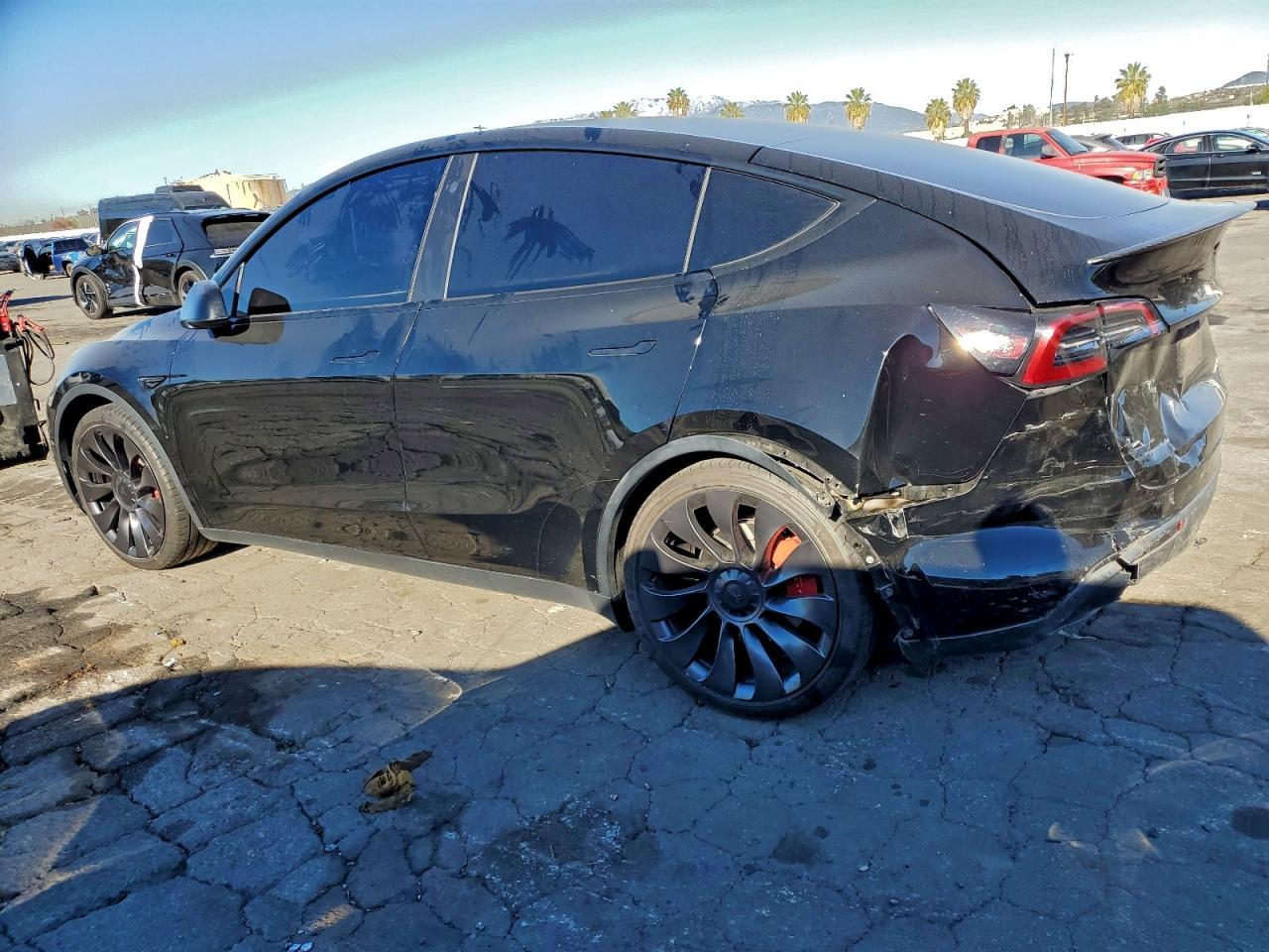 2023 Tesla Model Y - Фото 2