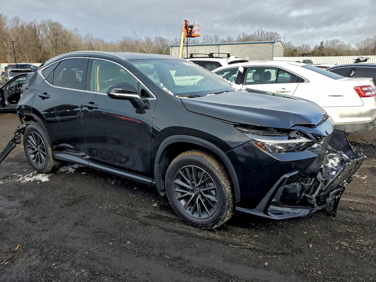 2025 Lexus Nx 350 Premium - Фото 4