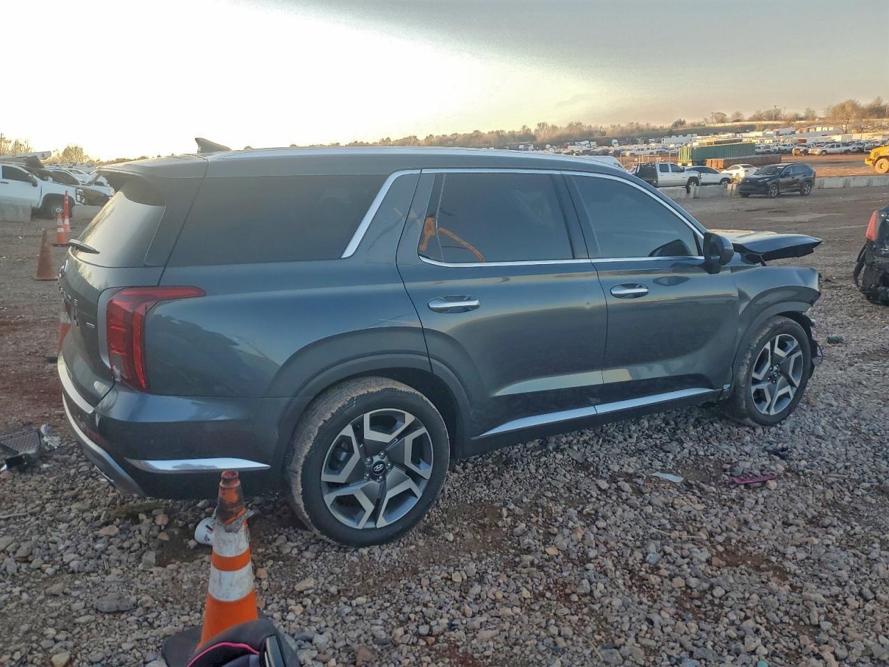 2023 Hyundai Palisade Limited - Image 3