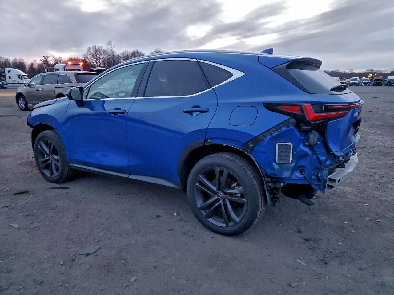 2025 Lexus Nx 450H Luxury - Фото 2