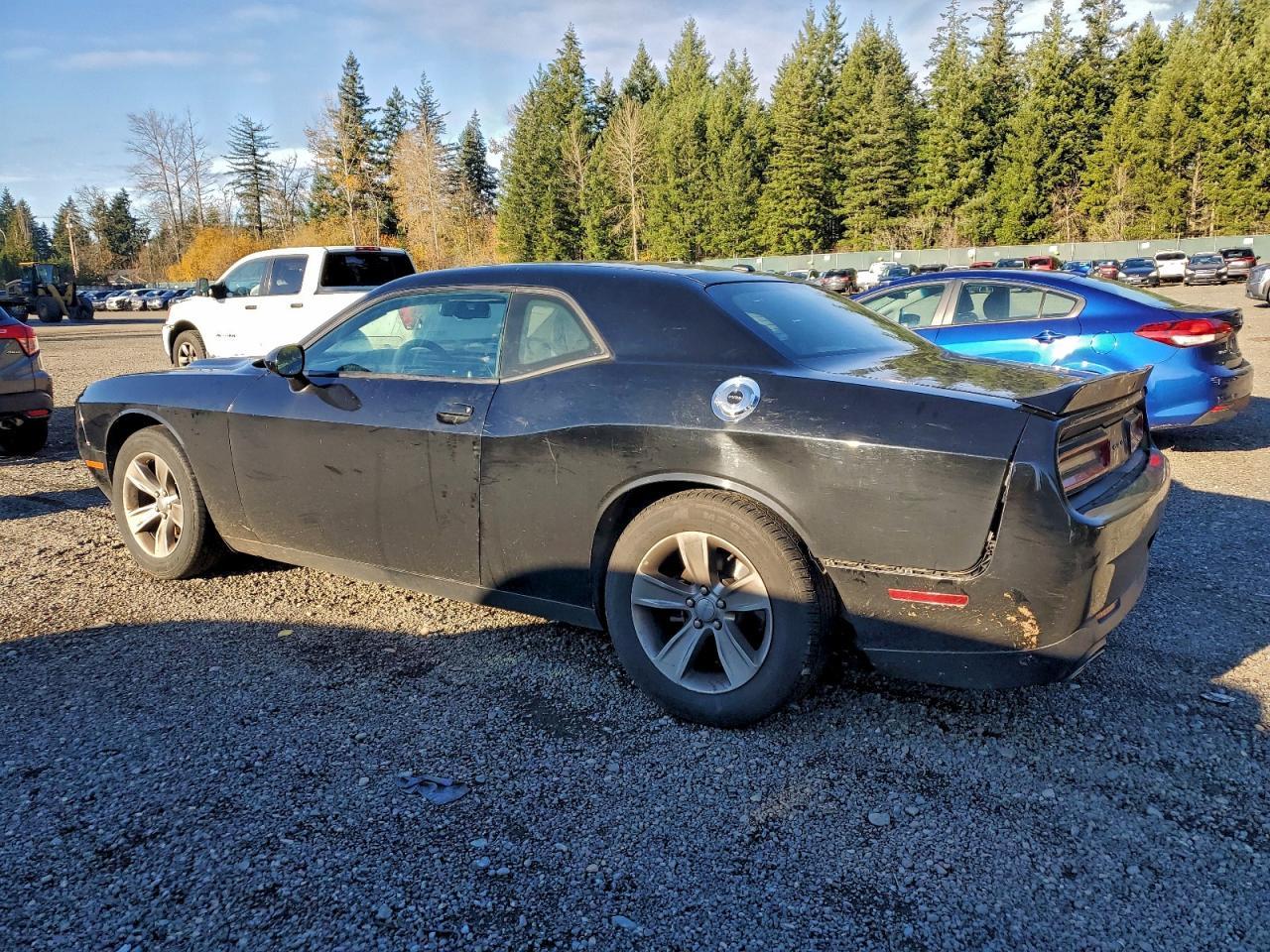 2018 Dodge Challenger Sxt - Фото 2