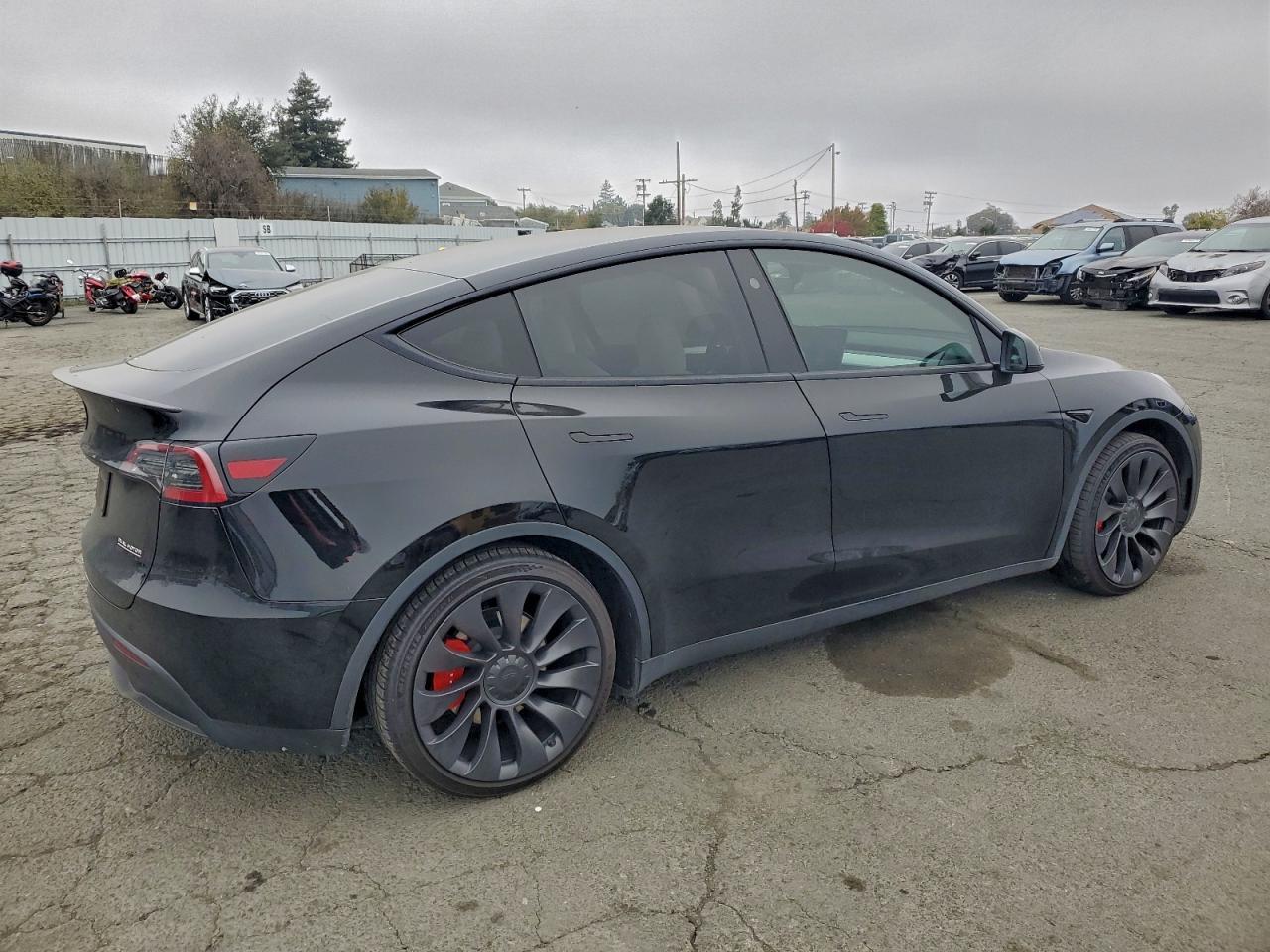 2023 Tesla Model Y - Фото 3