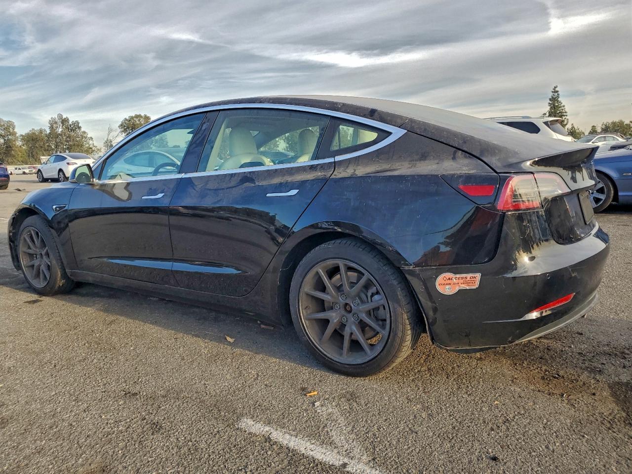2019 Tesla Model 3 - Фото 2