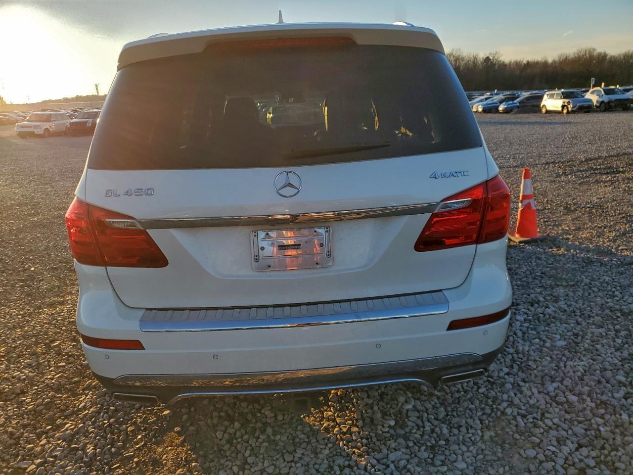 2014 Mercedes-Benz Gl 450 4Matic - Фото 6