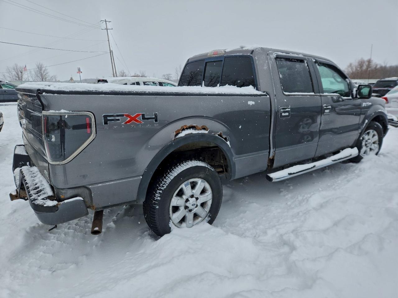 2010 Ford F150 Supercrew - Фото 3