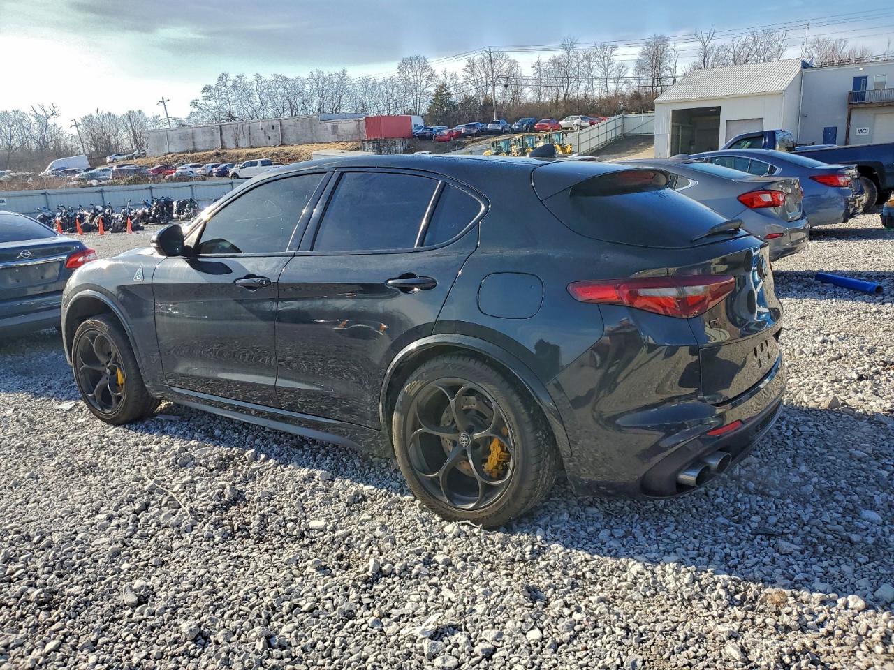 2018 Alfa Romeo Stelvio Quadrifoglio - Фото 2