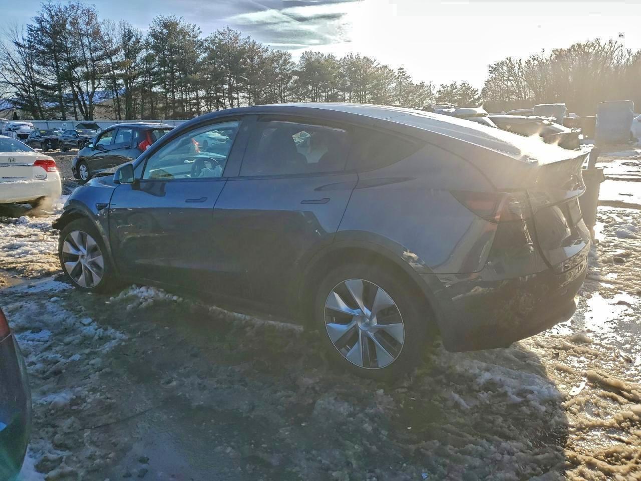 2023 Tesla Model Y - Фото 2