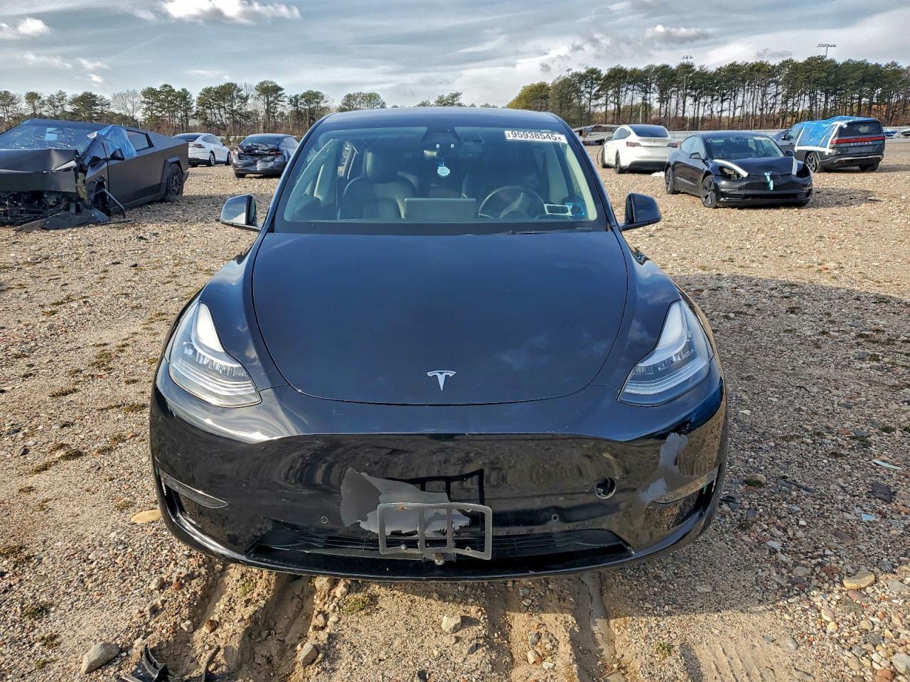 2021 Tesla Model Y - Фото 5