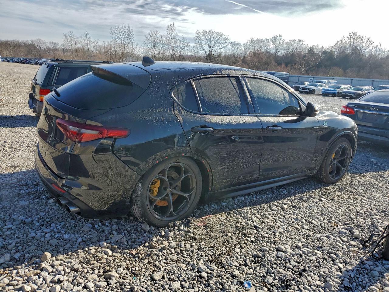 2018 Alfa Romeo Stelvio Quadrifoglio - Фото 3