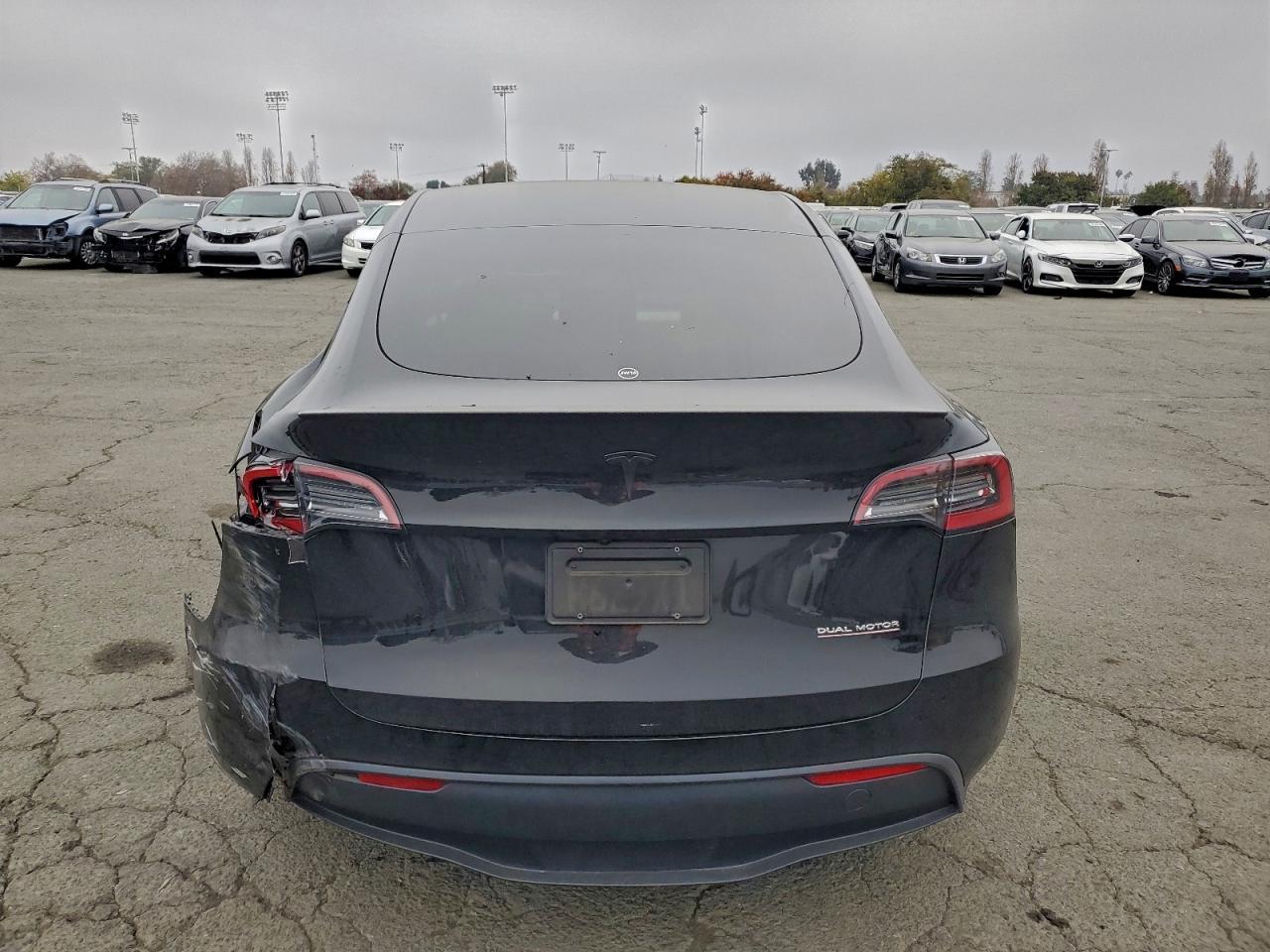 2023 Tesla Model Y - Фото 6