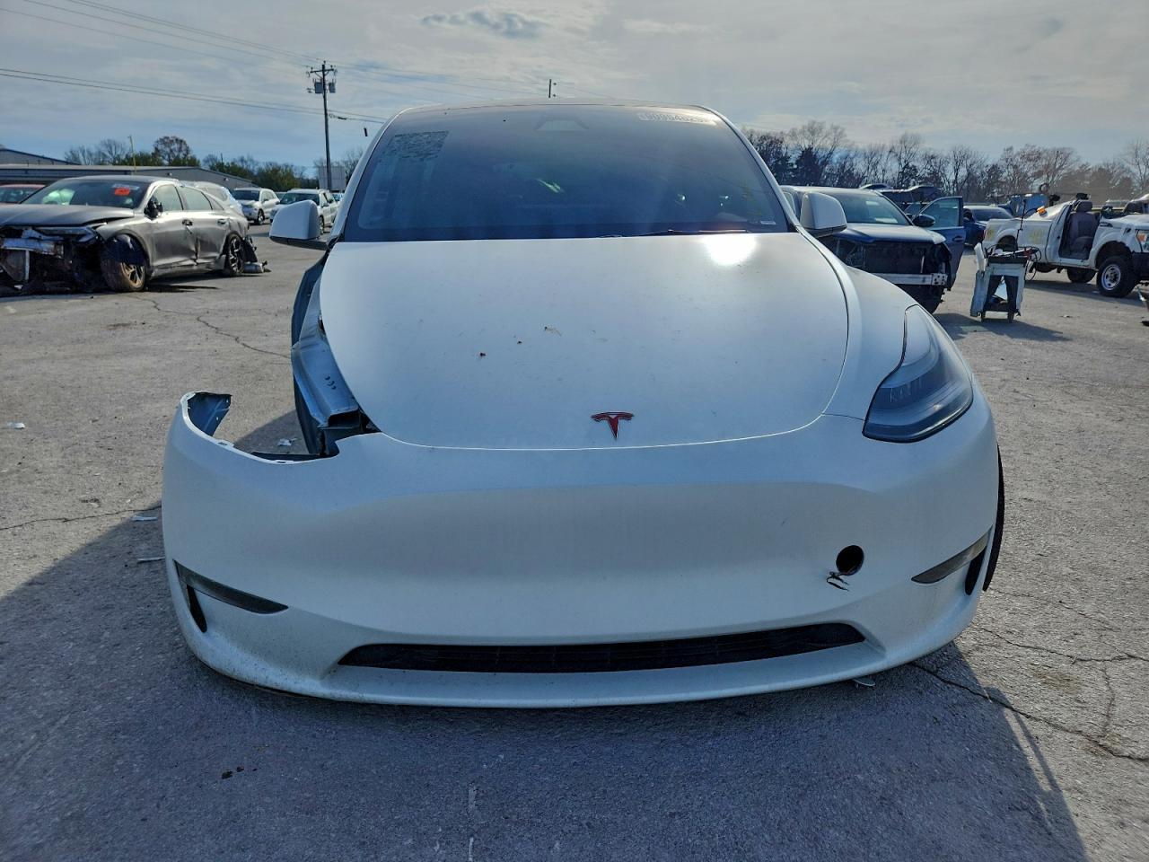 2023 Tesla Model Y - Фото 5