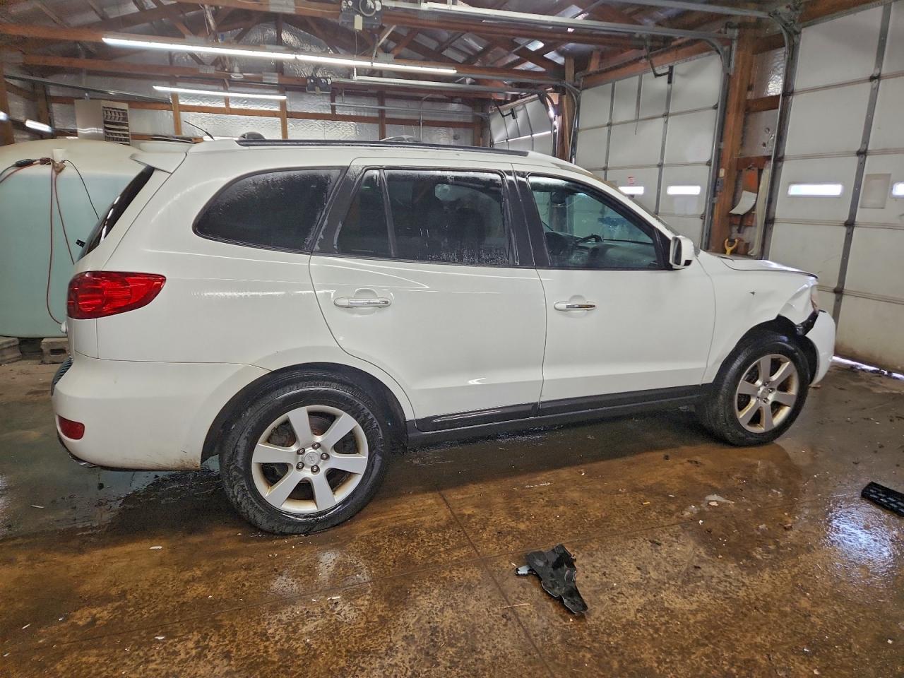 2007 Hyundai Santa Fe Se - Фото 3