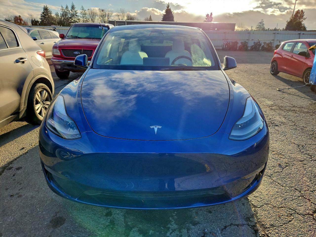 2023 Tesla Model Y - Фото 5