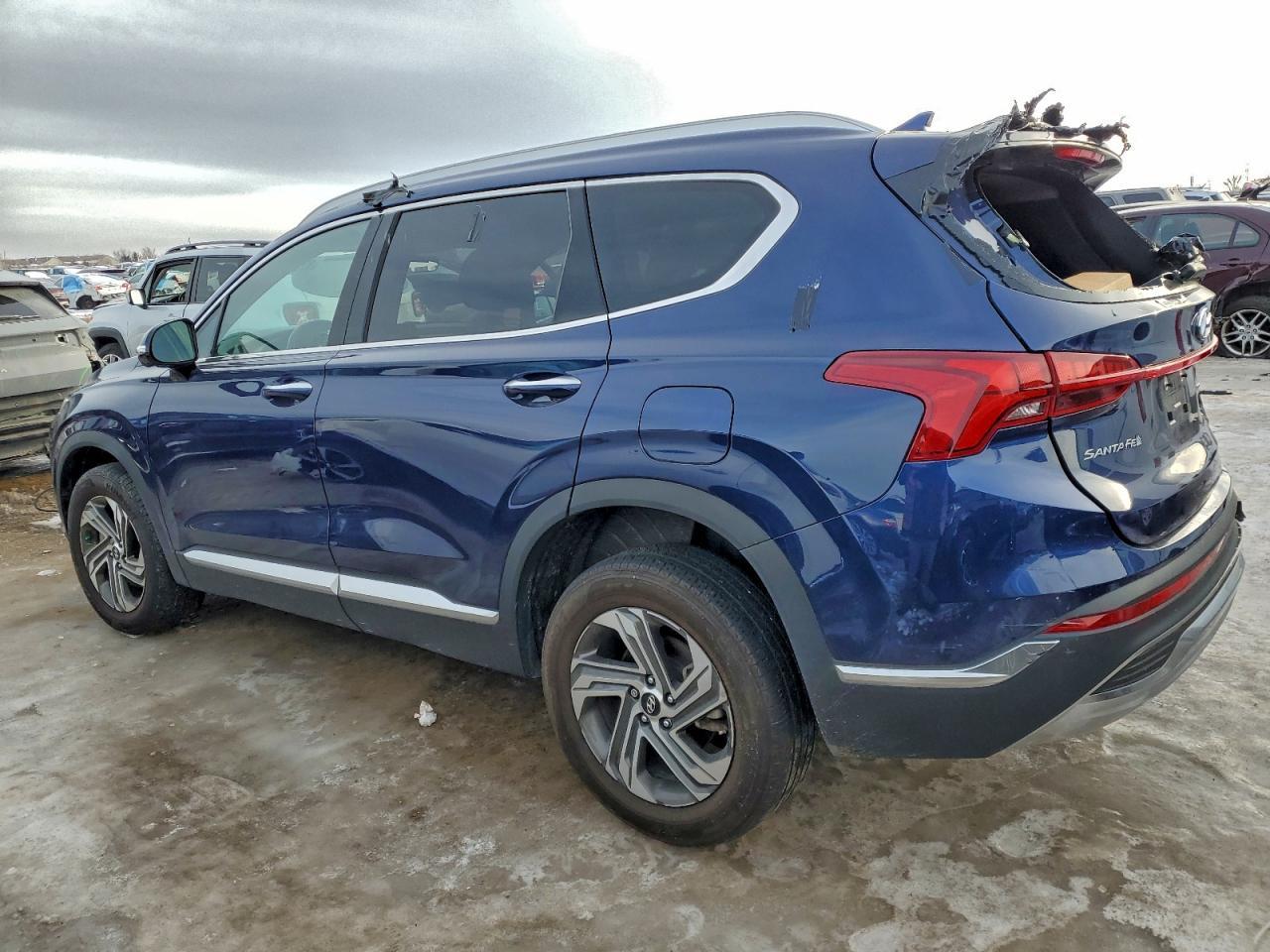 2023 Hyundai Santa Fe Sel Premium - Фото 2