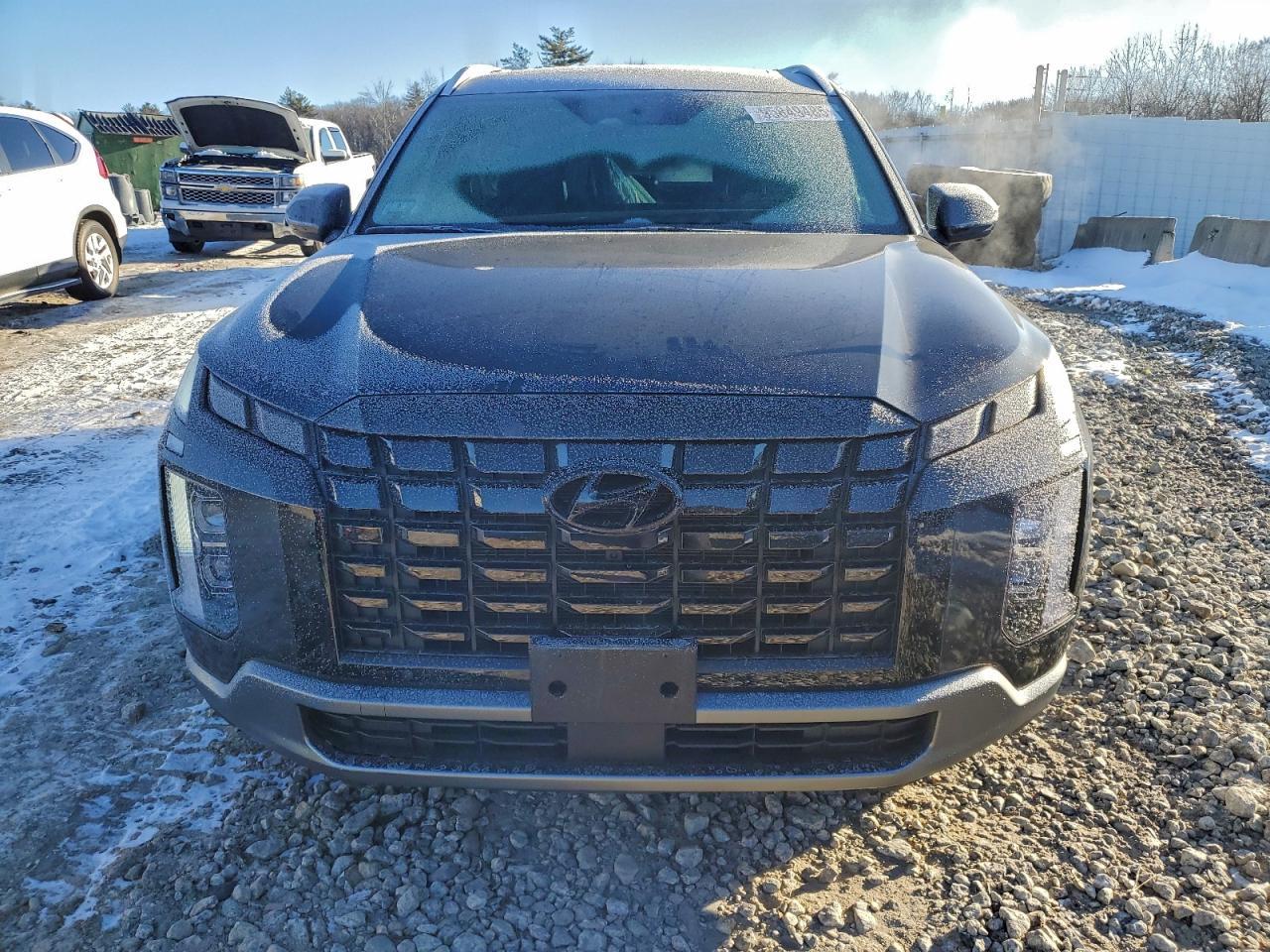 2024 Hyundai Palisade Limited - Фото 5