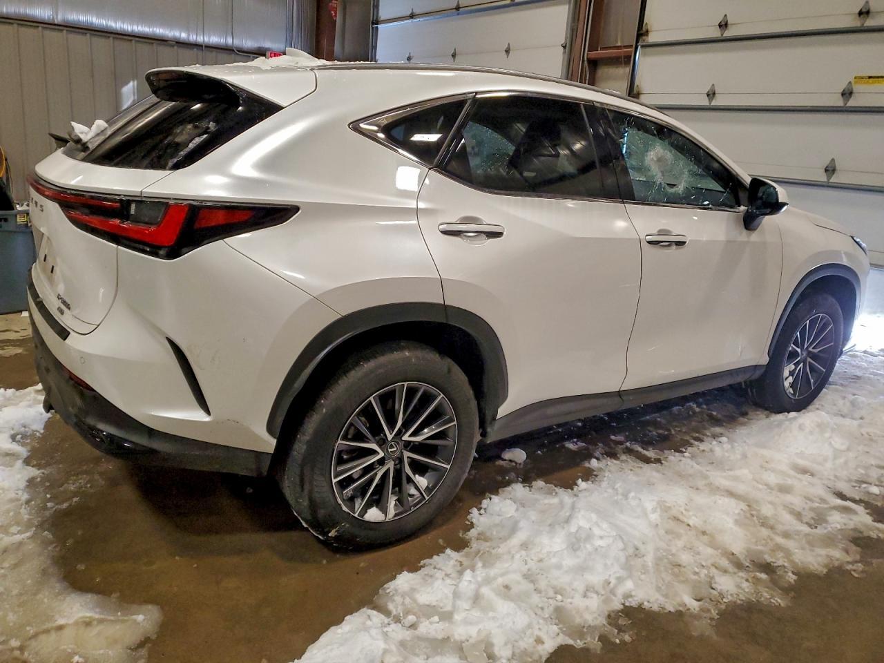 2024 Lexus Nx 350 - Фото 3