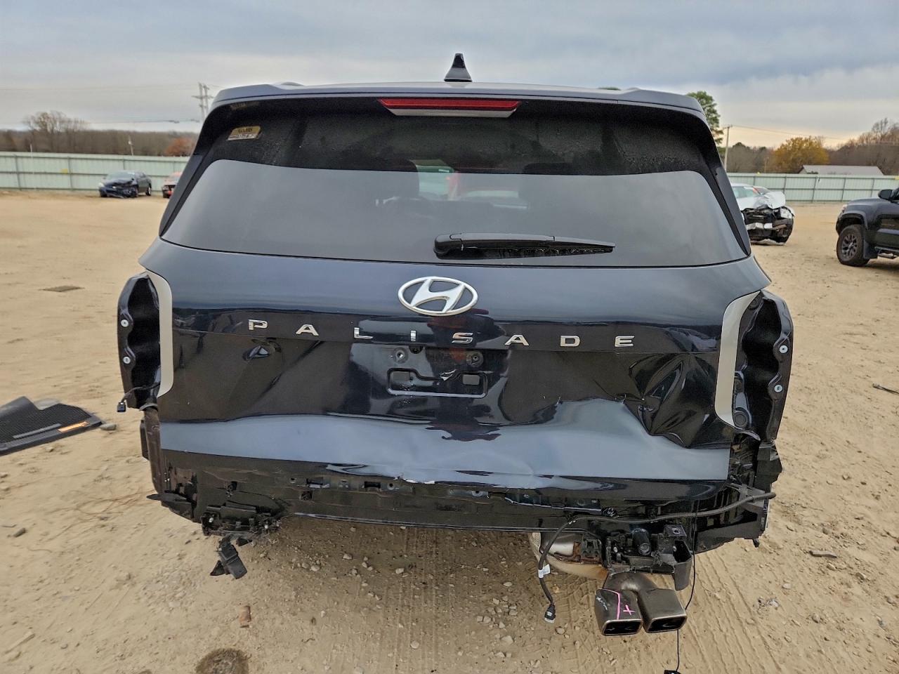 2024 Hyundai Palisade Sel Premium - Фото 6