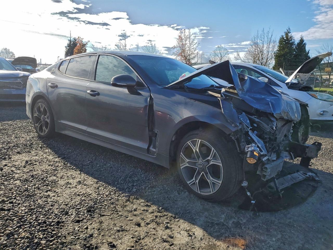 2021 Kia Stinger - Фото 4