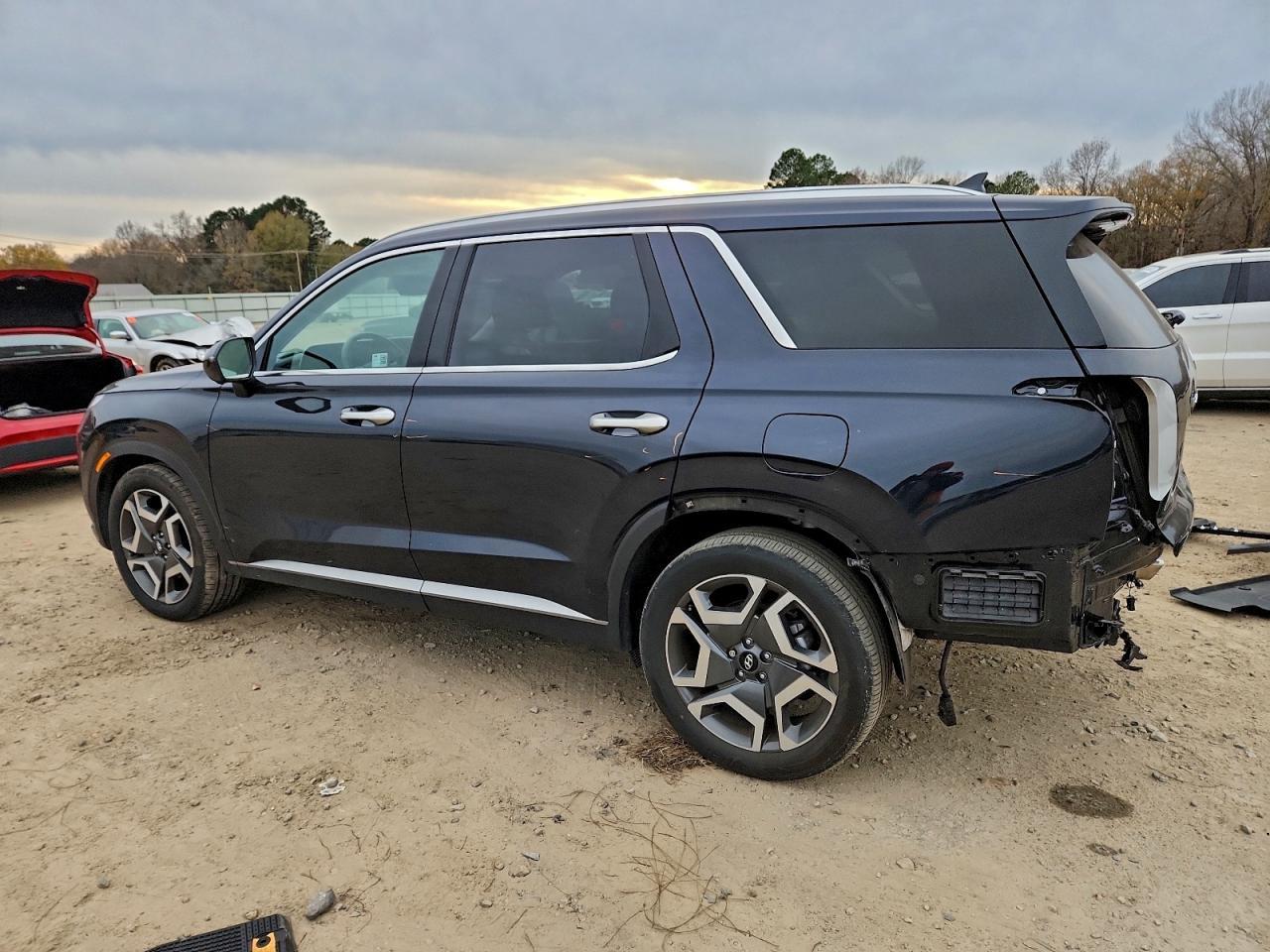 2024 Hyundai Palisade Sel Premium - Фото 2