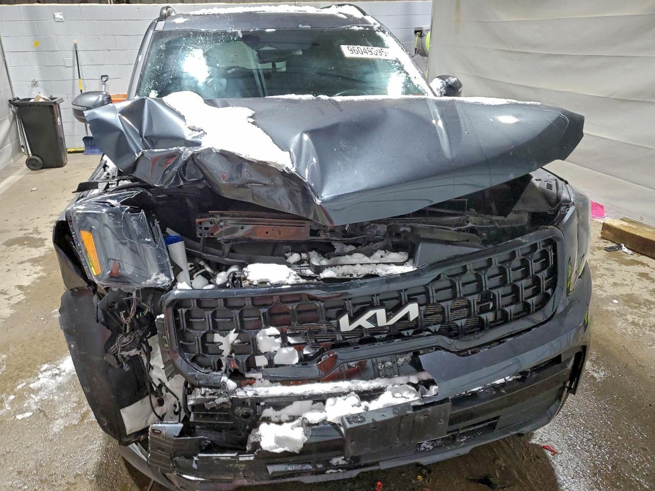 2024 Kia Telluride Ex X-Line - Фото 5