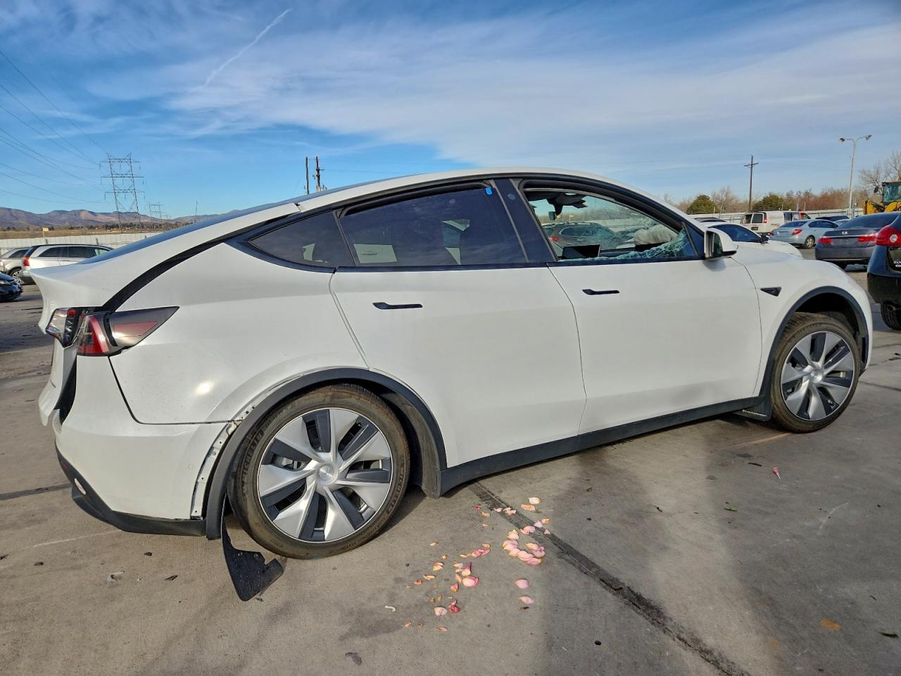 2022 Tesla Model Y - Image 3