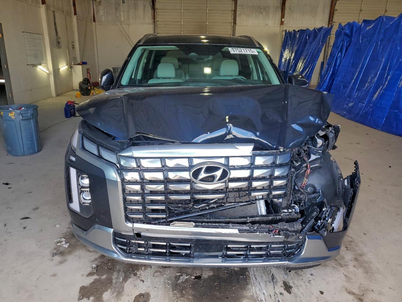 2024 Hyundai Palisade Calligraphy - Фото 5