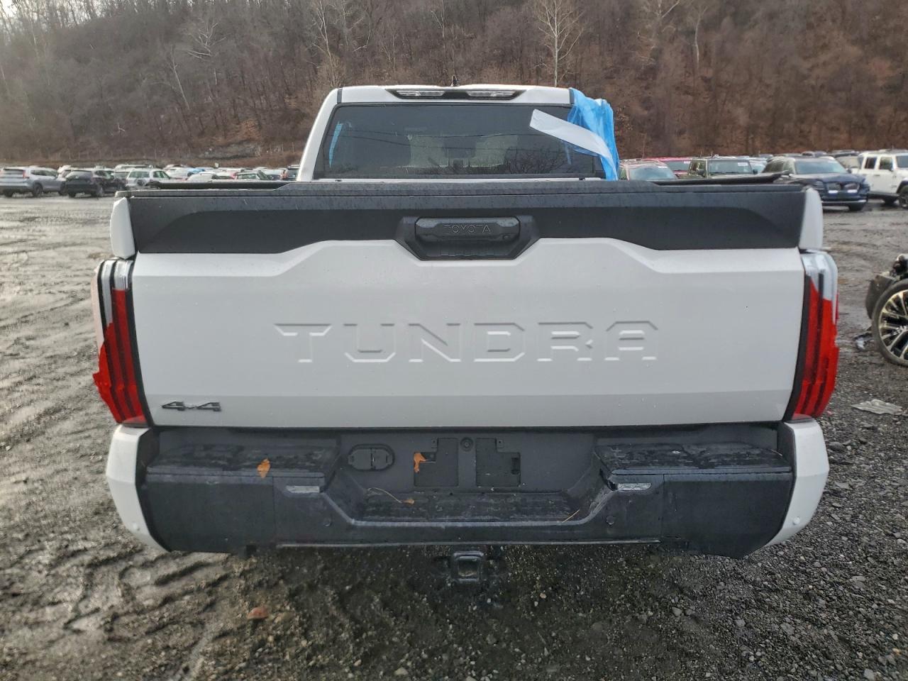 2025 Toyota Tundra Crewmax Sr5 - Фото 6