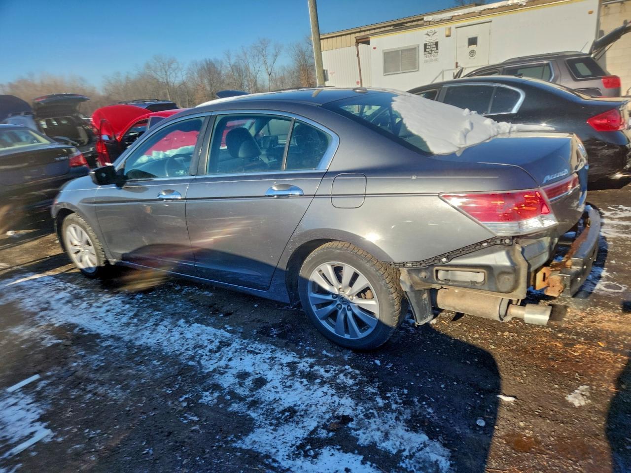 2011 Honda Accord Exl - Фото 2