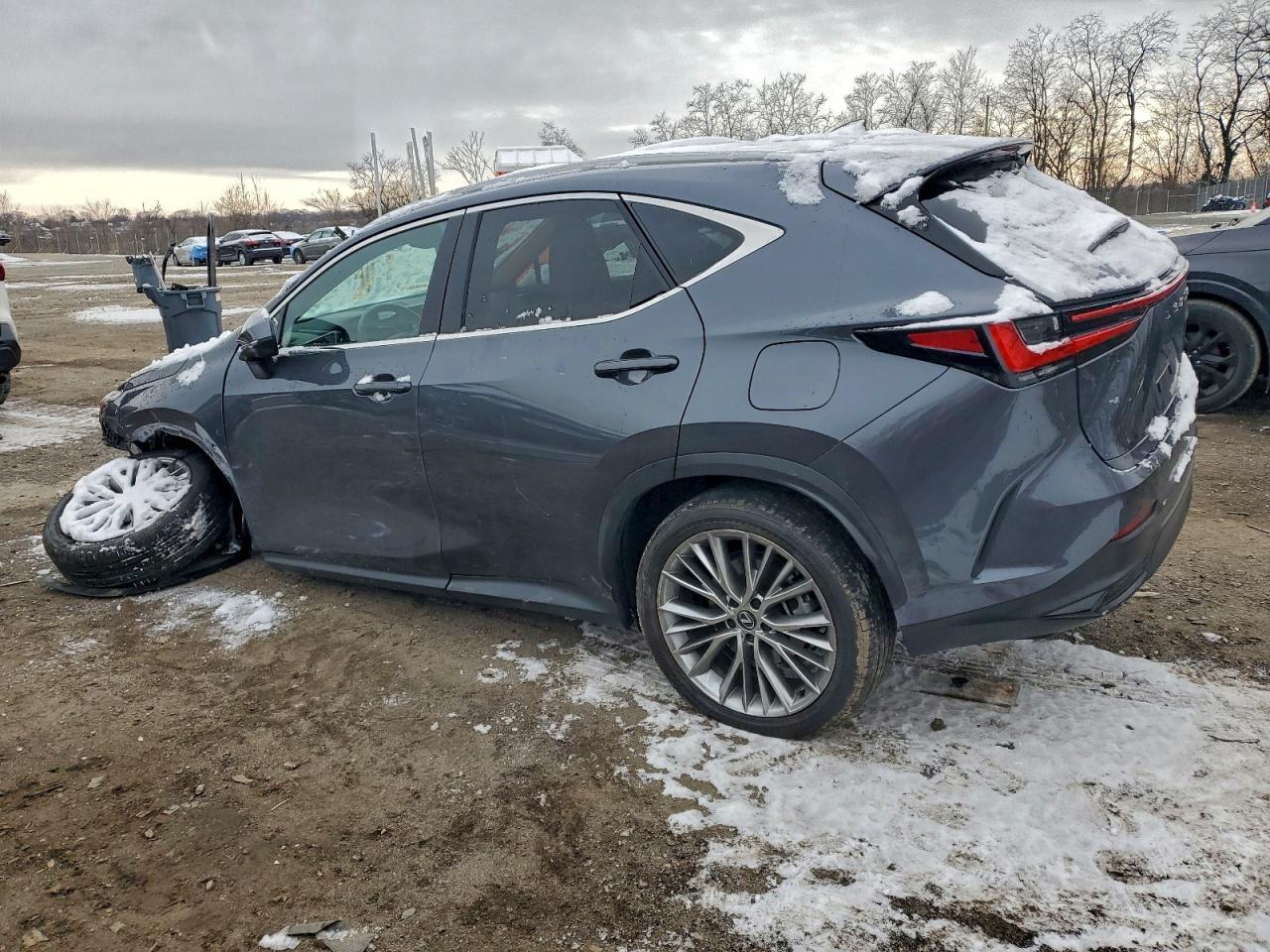 2024 Lexus Nx 350 Luxury - Фото 2