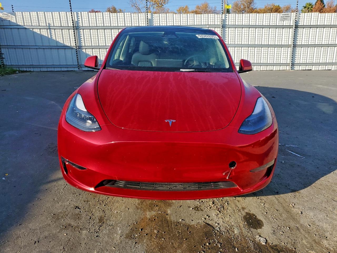 2023 Tesla Model Y - Фото 5