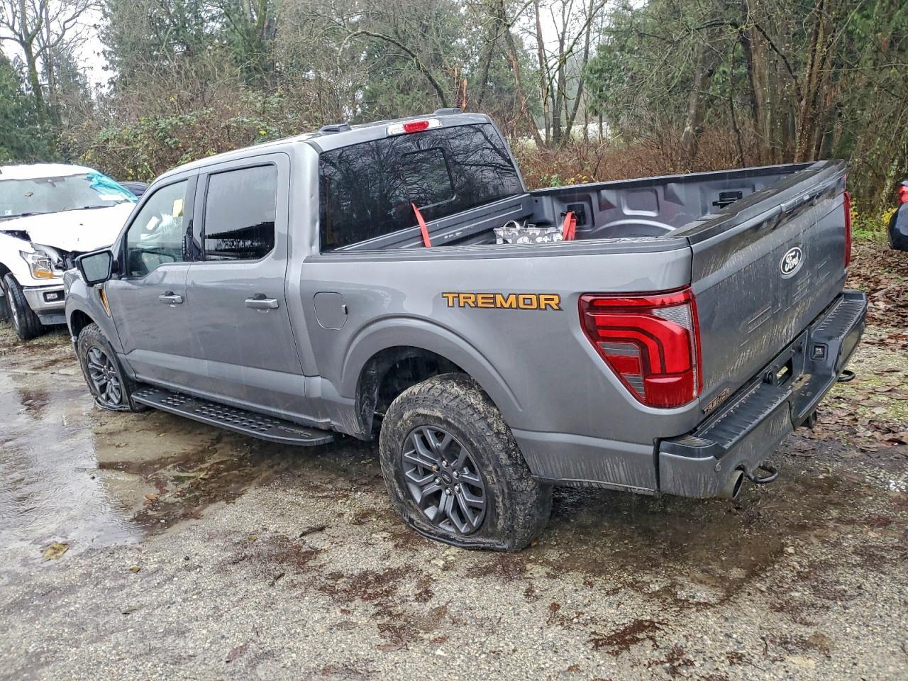2024 Ford F150 Tremor - Image 2