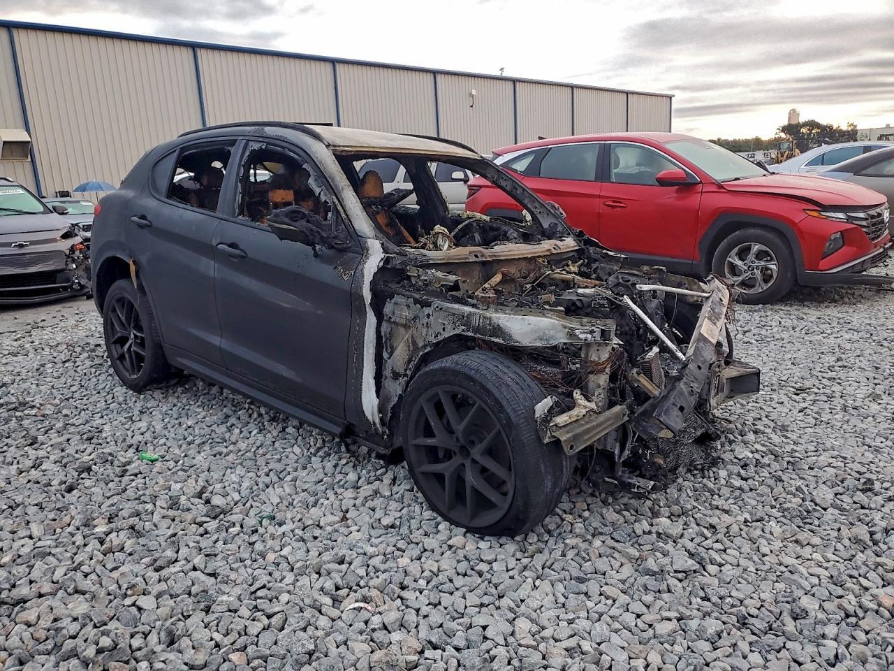 2019 Alfa Romeo Stelvio - Фото 4