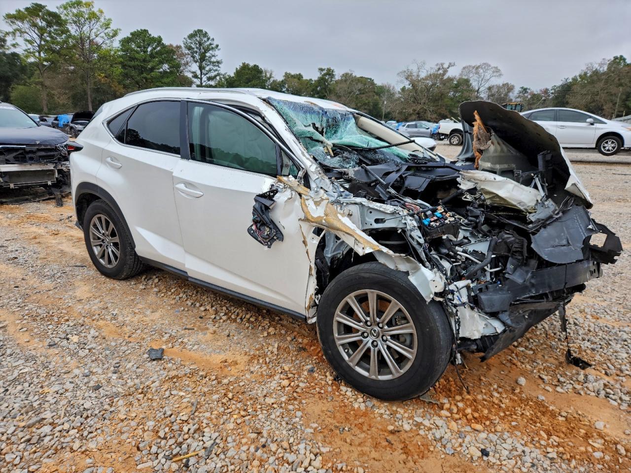 2019 Lexus Nx 300 Base - Фото 4